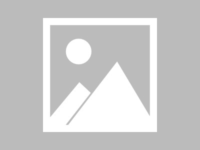猫酱信息技术咨询服务部，助力企业的数字化转型